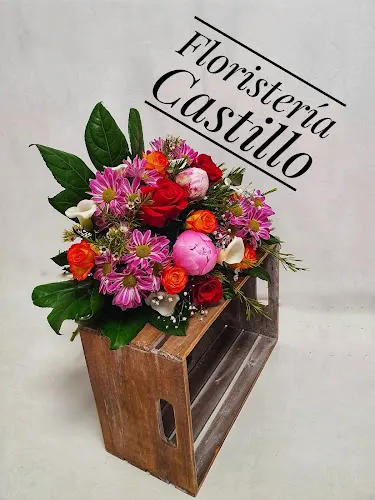 Floristeria Castillo. Flores en Soria - Soria