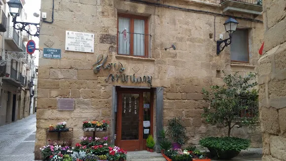 Flors Miriam - Gandesa