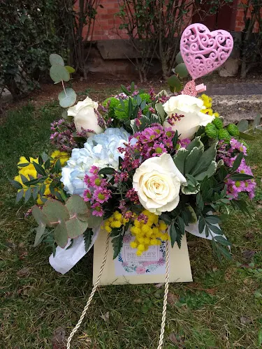 Arte Floral la Villa - Almazán