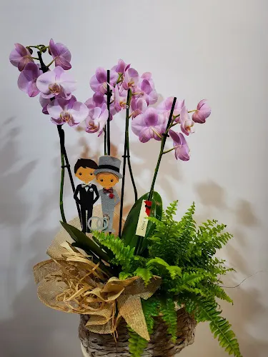 Floristería J.PROS