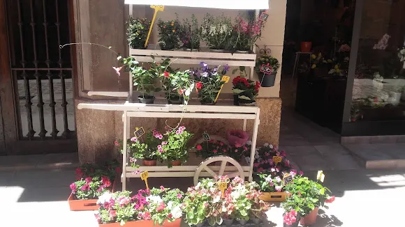 Floristeria Kursaal - Montblanc