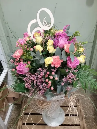 Floristeria Rosa Roca Flors i Plantes - Valls