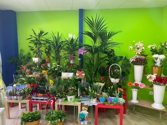 Ruda Arte Floral