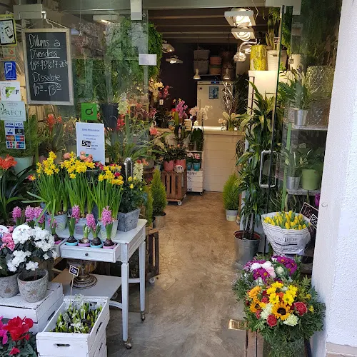 Floristeria Artesaniaflorae