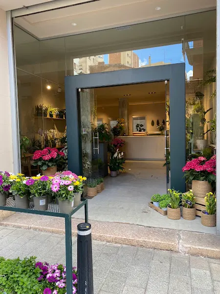Floristeria Punt Verd