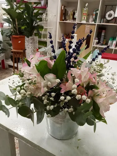 Floristería Conchi