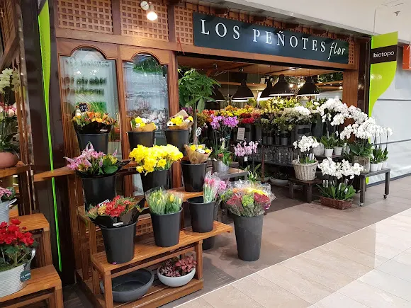 Floristería Verdecora CC Carrefour Alcobendas