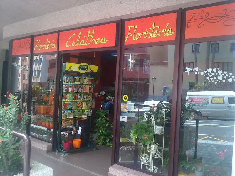 Floristería Calathea - Santa Cruz de la Palma