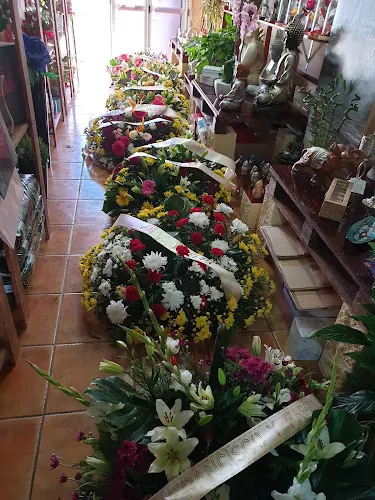 Floristeria EL VALLE - Santiago del Teide
