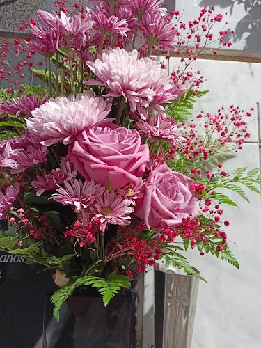 Floristería Laurisilva - Floristería en Hermigua