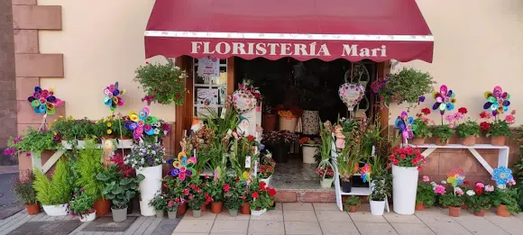 Floristería Mari