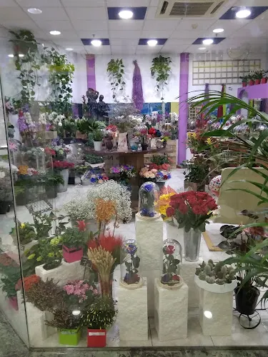 Floristería Rojas