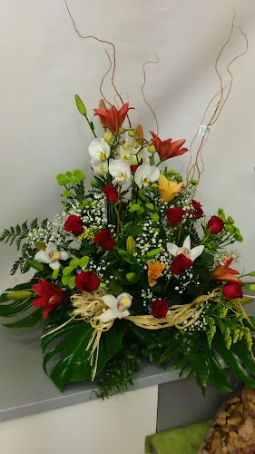 Floristeria Trevol