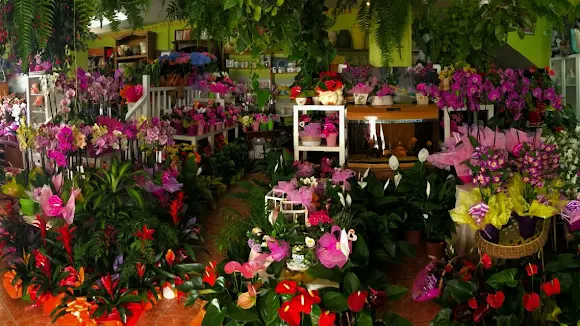 Floristería Cruz del Teide