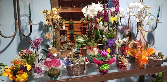 Floristeria Laureles - Los Llanos de Aridane