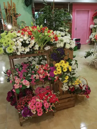 El Racó de los Flors