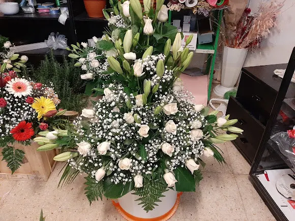 Floristería Tacoronte