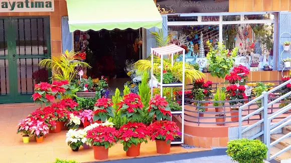 Floristería Mario la Orotava - Flores, plantas, Arreglo, Florares, Decoración