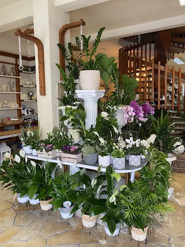 Floristería Nortyflor
