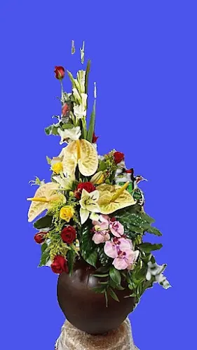 Carmita Floristeria - Granadilla de Abona