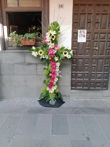 floristeria leonor