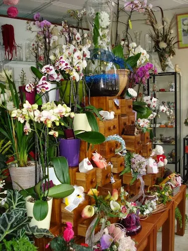 Floristería El Girasol - Tegueste