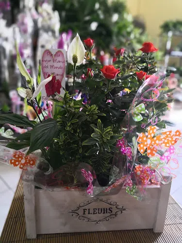 Floristería Kentia Sur - Floristería en Guia de Isora