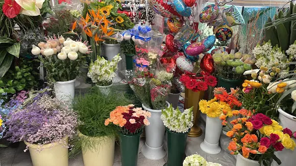 MUNDO FLORAL