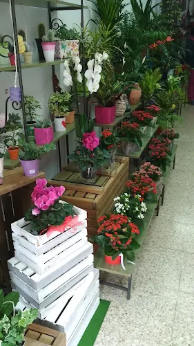 Taideflor
