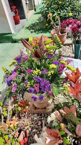 Floristería Detalles Andrés