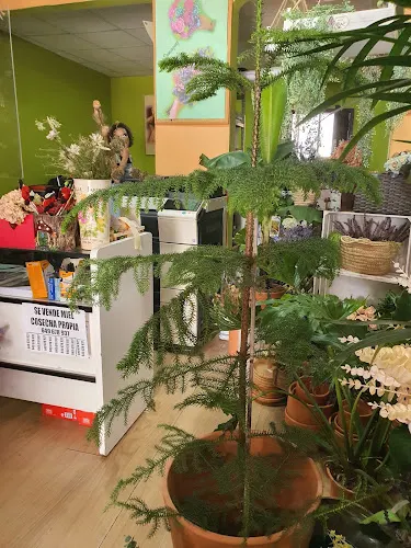 Eva Domínguez Floristería - Valverde del Camino