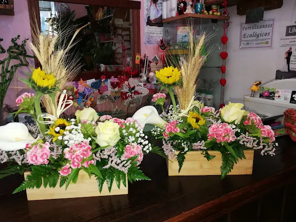 Floristería la laguna