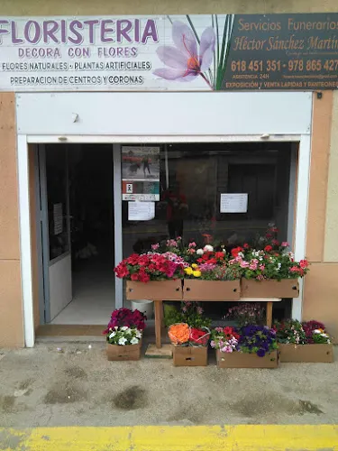 FLORISTERÍA DECORA CON FLORES. - Monreal del Campo