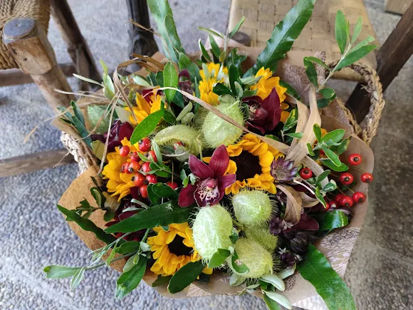 José Luís Meseguer Florista - Floristería en Hijar