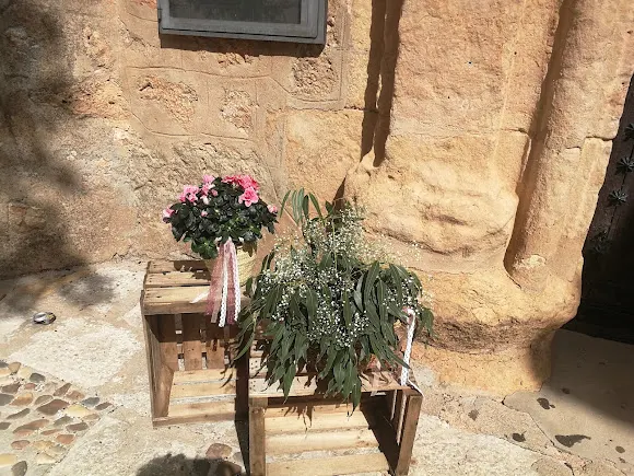 Flores Primavera - Floristería en Villanueva de Alcardete