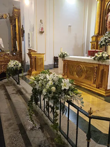 Gonzaga Floristas