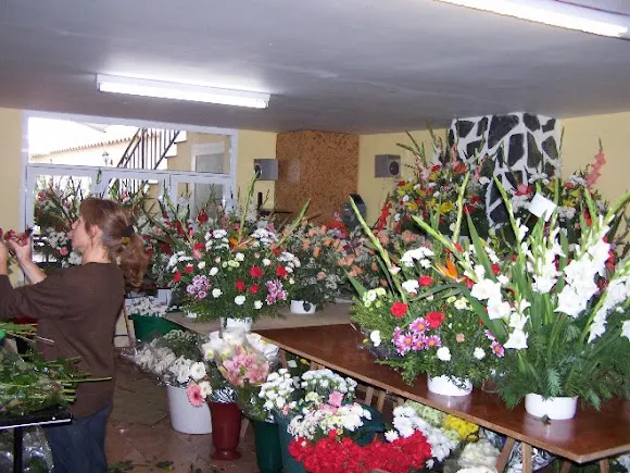Floristería Arcoiris - Floristería en Corral de Almaguer