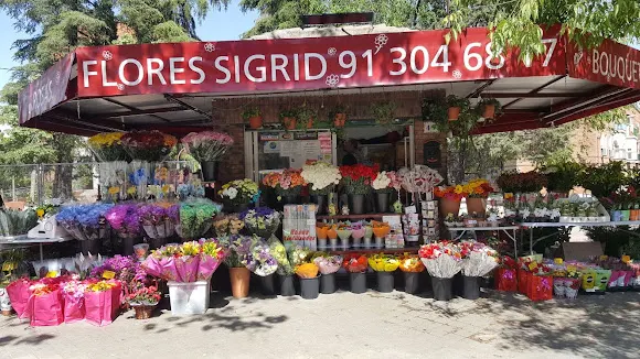 Flores Sigrid Instagram @floresyplantassigrid - Madrid