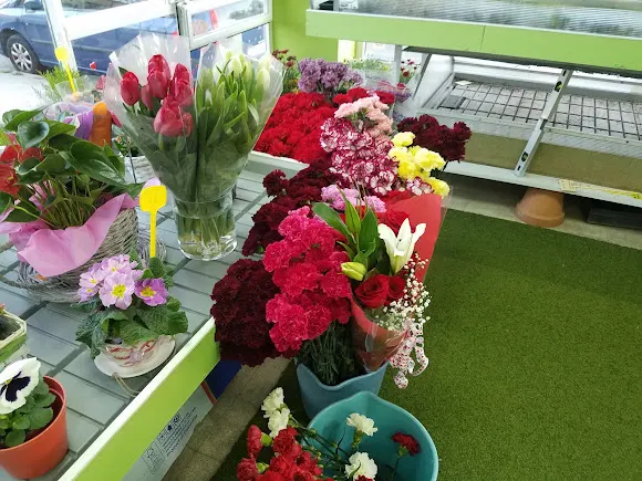 Floristería Alex Seseña y el Quiñon - Floristería en Sesena