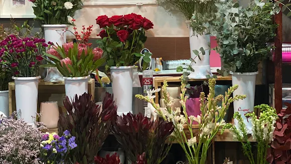 Javier Rocha Floristas - Floristería en Talavera de la Reina