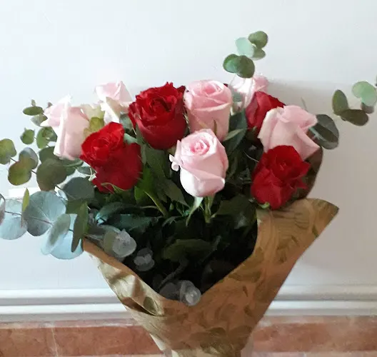 Flors Isabel