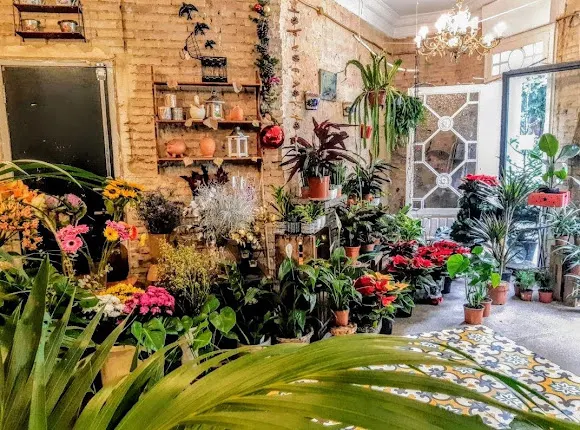 Floristería Sueca 13 - Flores a domicilio en Valencia