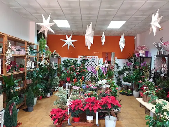 Floristería Alonso