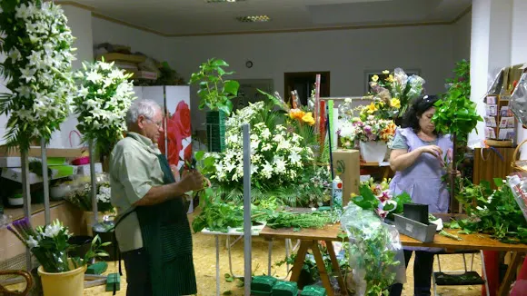Floristería Vicente Rosa