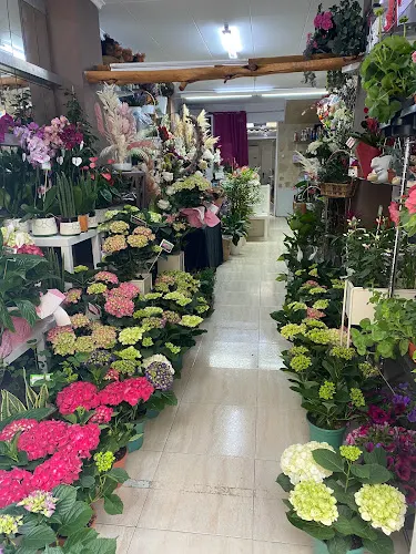 Milva del Val Florista Artesana - Beniganim