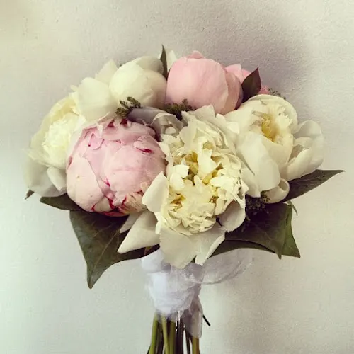 Floristería Carol Alzira