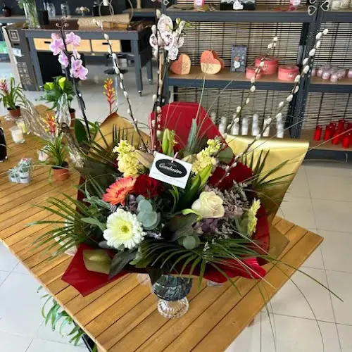 Floristería Combariza