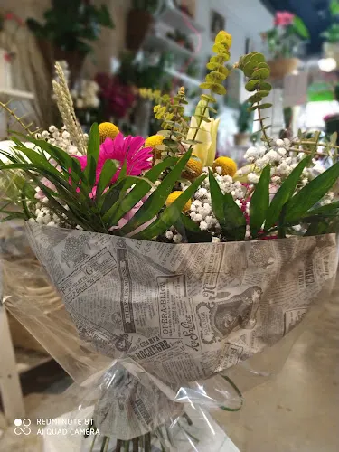 Lourdes Floristes