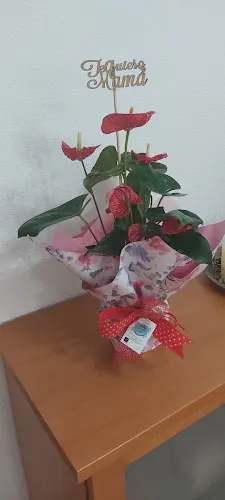 El Detall Floristería