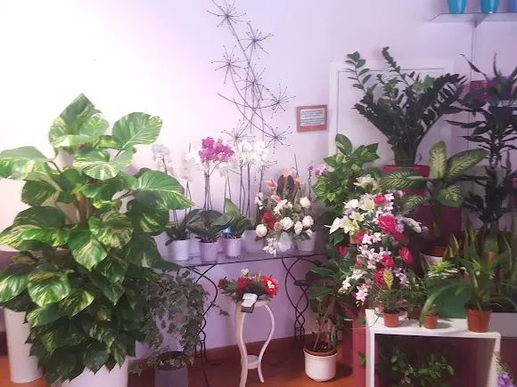 María Luisa Floristería